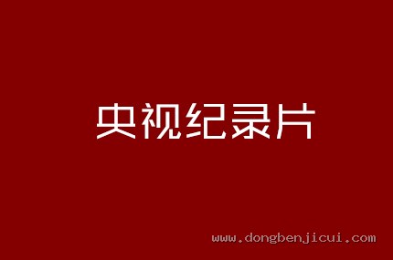 央视纪录片